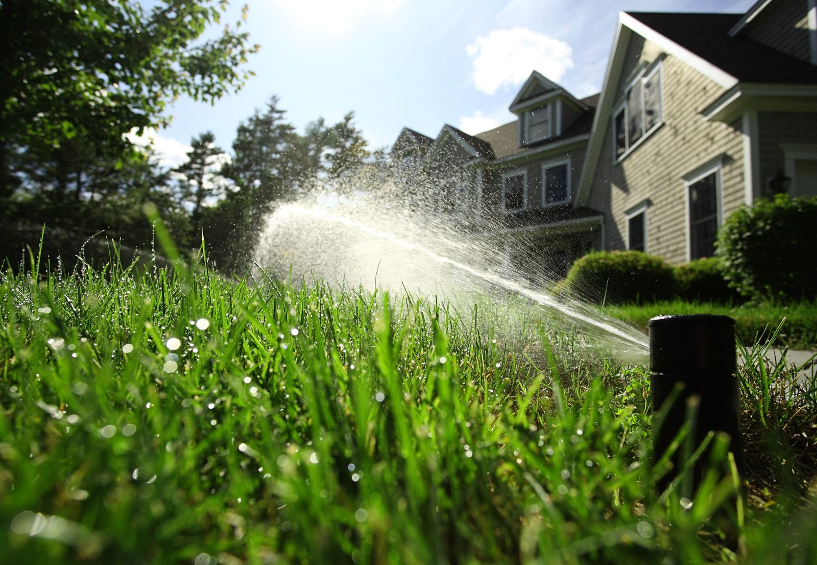 A rotor sprinkler spraying across a green front lawn in morning sun